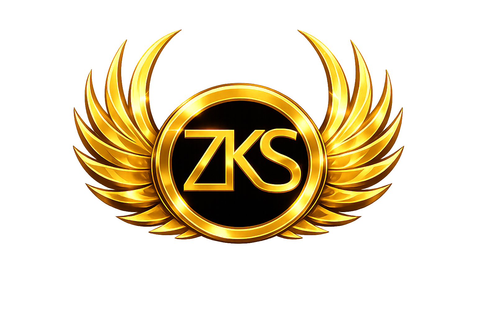 Logo ZKS